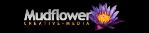 mudflower-media-website-design-saint-augustine-florida