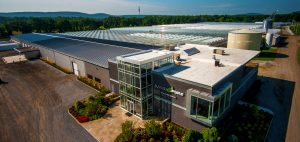 plainview-growers-allamuchy-nj-greenhouse-plants-orchids-annuals-succulents-nj-05