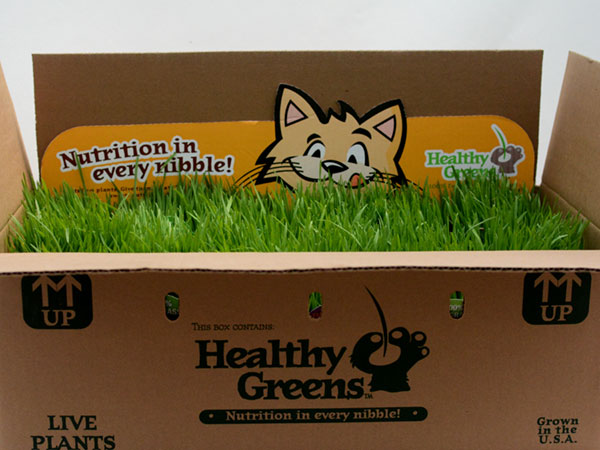 plainview-growers-healthy-greens-cat-grass-pet-food-01