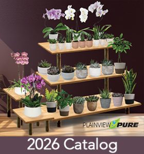 plainview-growers-allamuchy-nj-greenhouse-plants-orchids-annuals